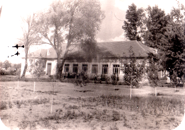 Файл:Школа 40-х.png