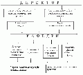 Структура Інститут психології.gif